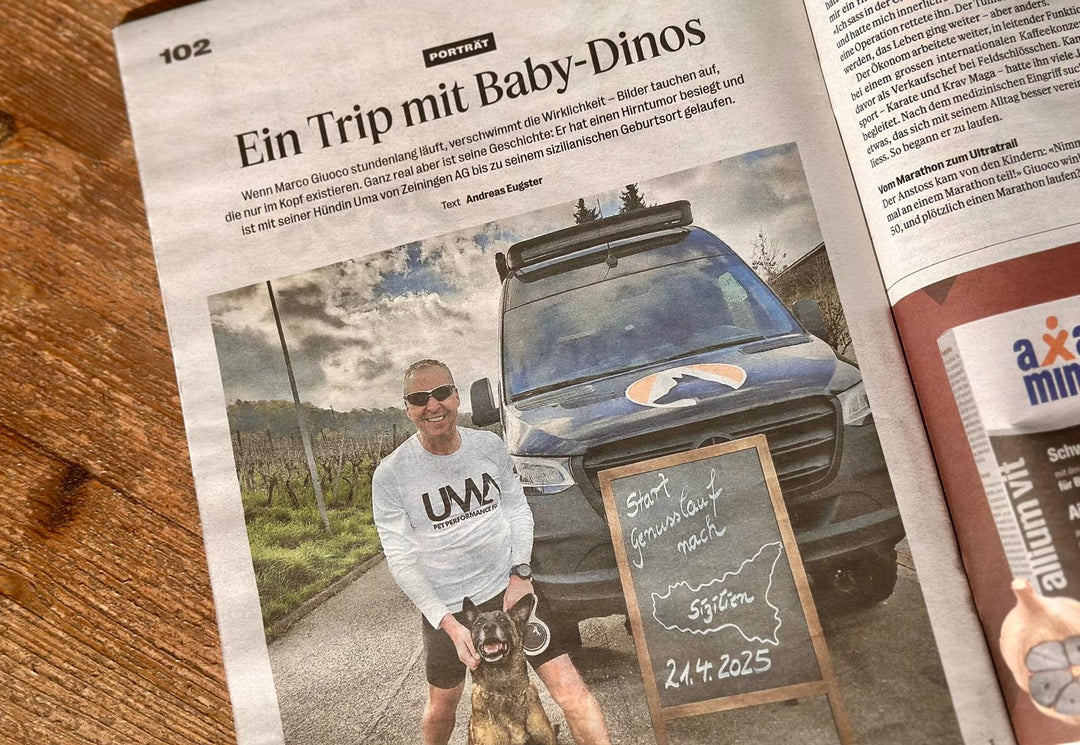 Ein Trip mit Baby-Dinos