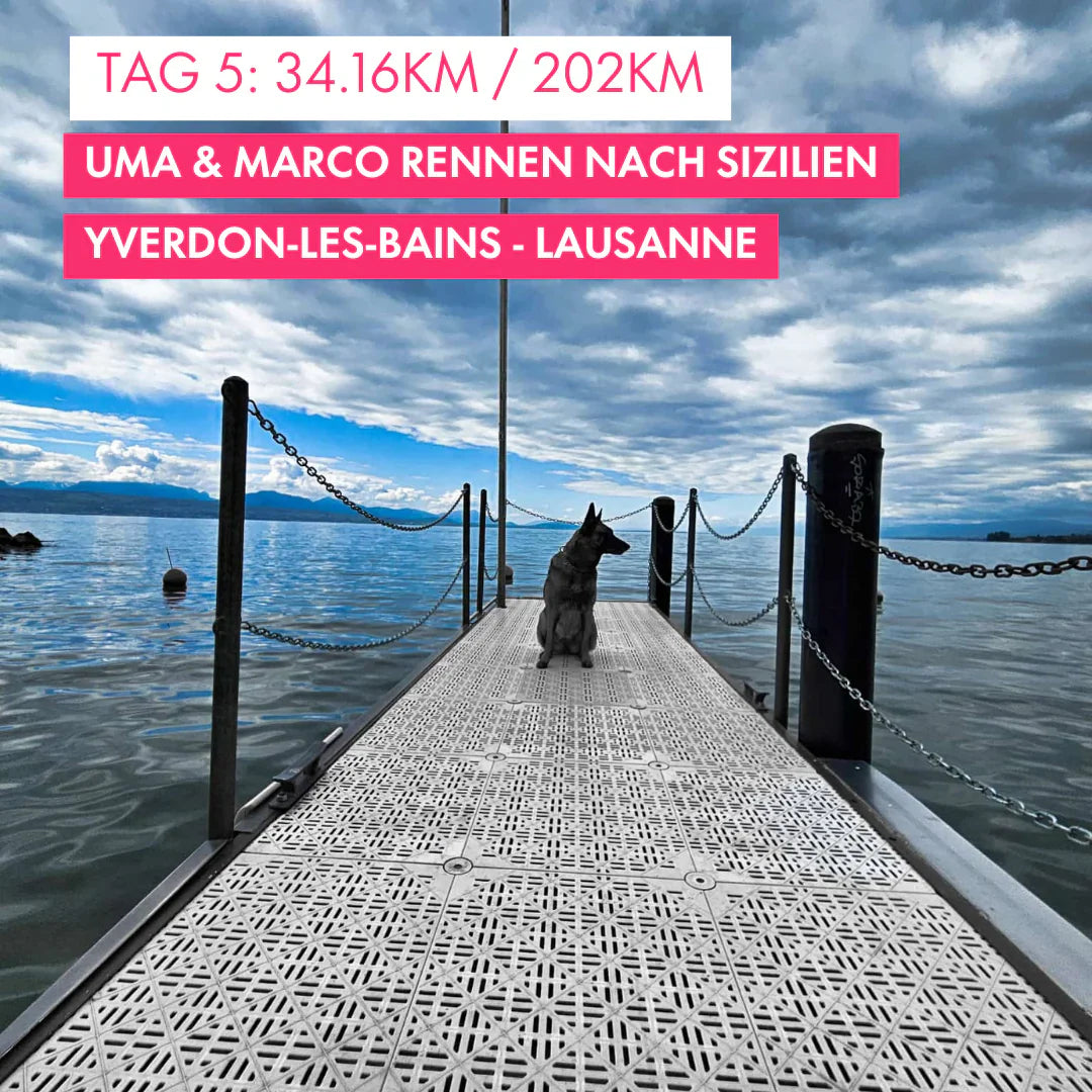 Tag 5: Amunì compà, Uma & Marco rennen nach Sizilien! 34.16km von Yverdon les Bains nach Lausanne