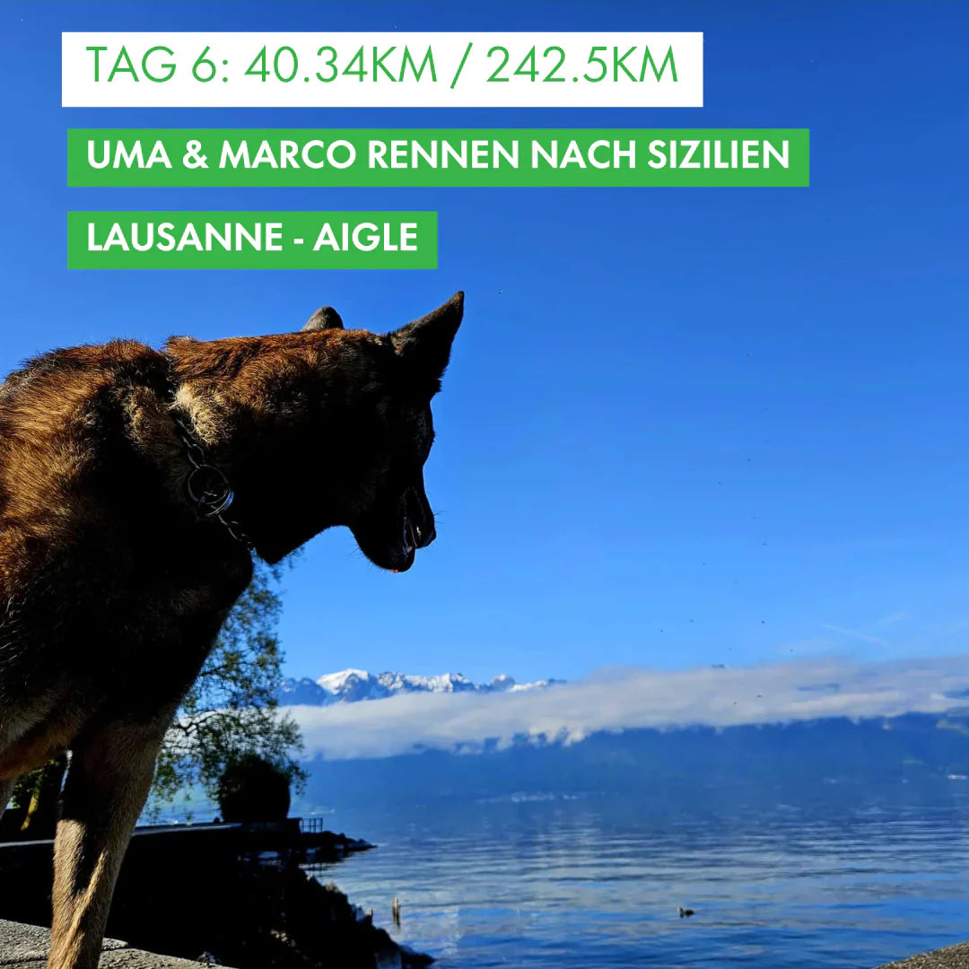 Tag 6: Amunì compà, Uma & Marco rennen nach Sizilien! 40.34km von Lausanne nach Aigle