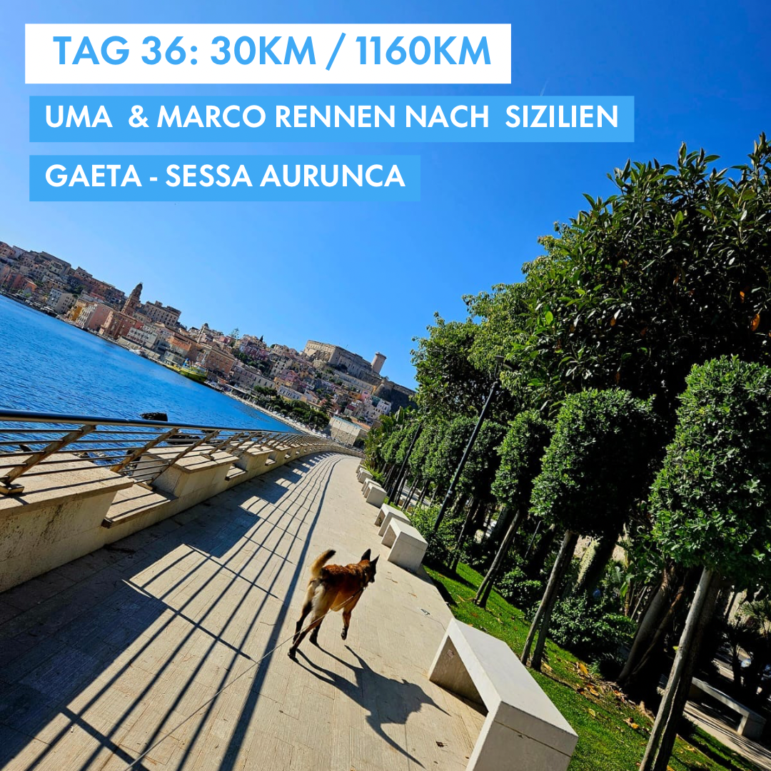 Tag 36: Amunì compà, Uma & Marco rennen nach Sizilien!: 30km von Gaeta nach Sessa Aurunca