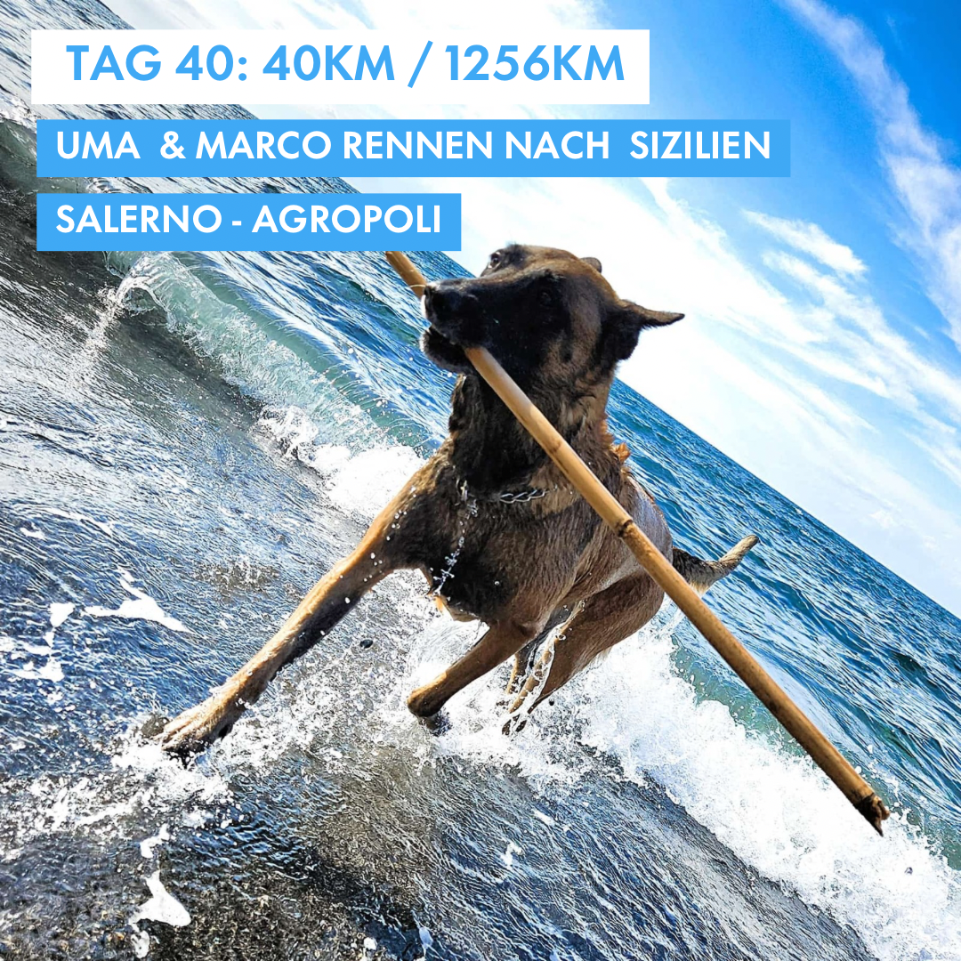 Tag 40: Amunì compà, Uma & Marco rennen nach Sizilien!: 40km von Salerno nach Agropoli