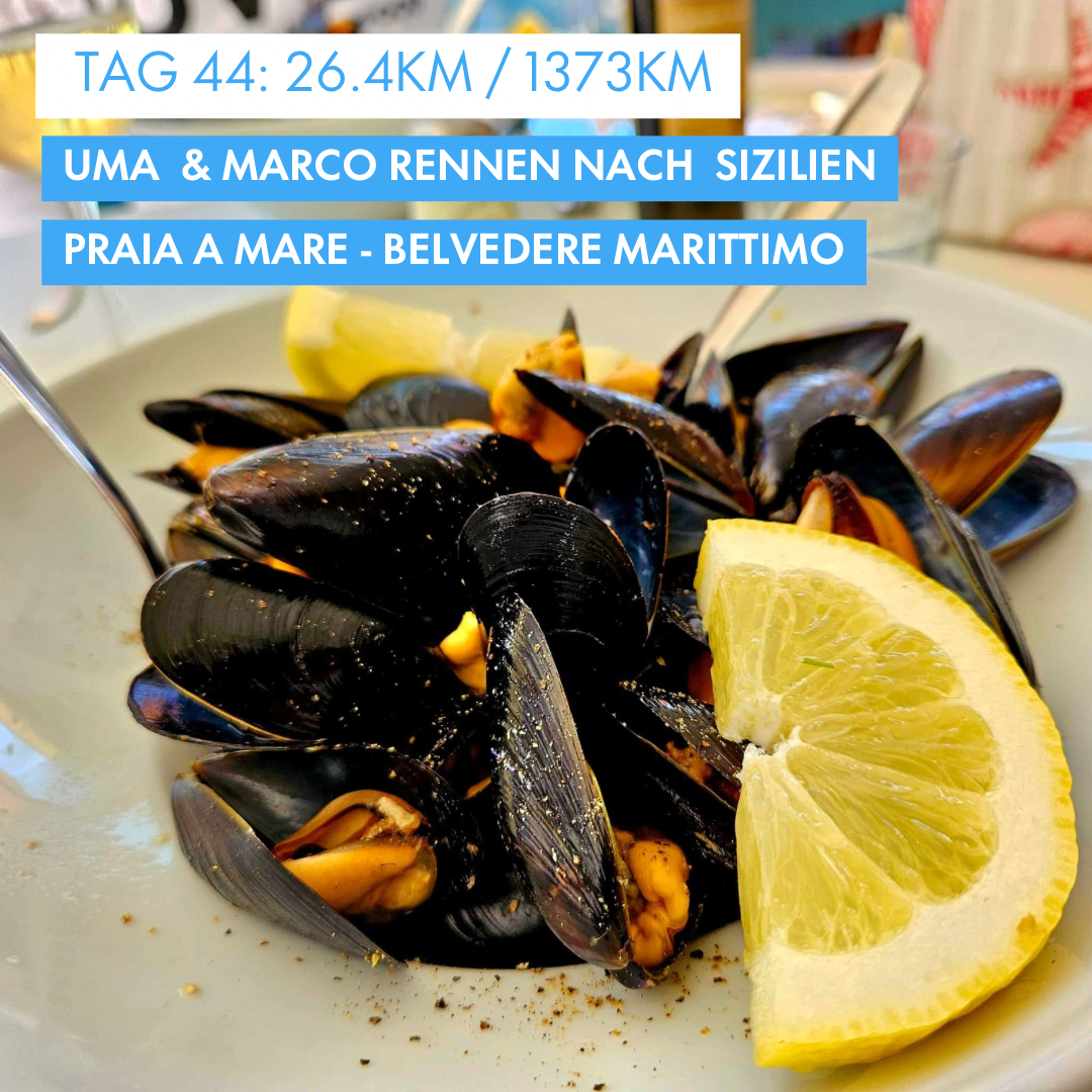 Tag 44: Amunì compà, Uma & Marco rennen nach Sizilien!: 26.4km von Praia a Mare nach Belvedere Marittimo