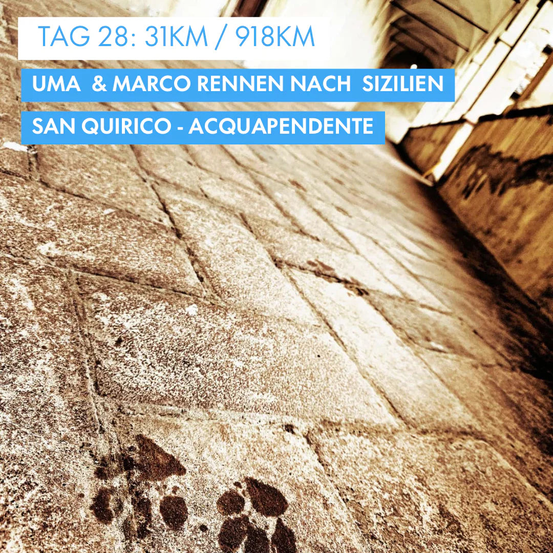 Tag 28: Amunì compà, Uma & Marco rennen nach Sizilien!: 36km von San Quirico nach Acquapendente