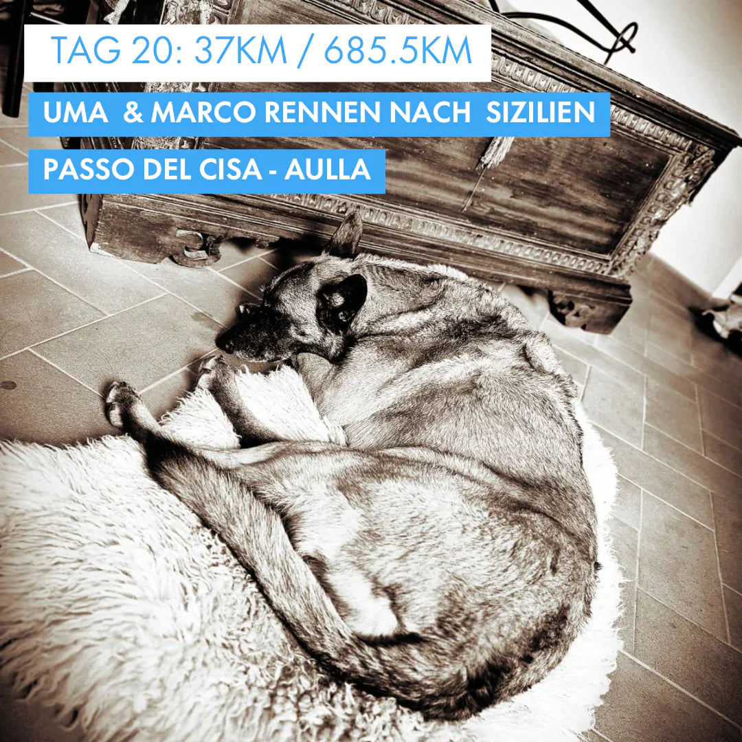Tag 20: Amunì compà, Uma & Marco rennen nach Sizilien!: 37km vom Passo del Cisa nach Aulla