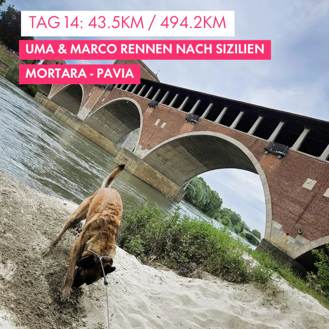 Tag 14: Amunì compà, Uma & Marco rennen nach Sizilien!: 43.45km von Mortara nach Pavia