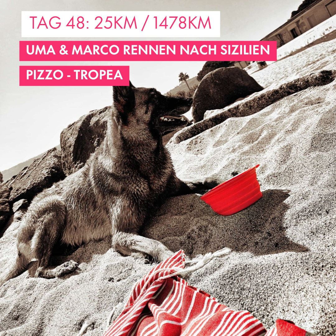 Tag 48: Amunì compà, Uma & Marco rennen nach Sizilien!: 25.1km von Pizzo nach Tropea
