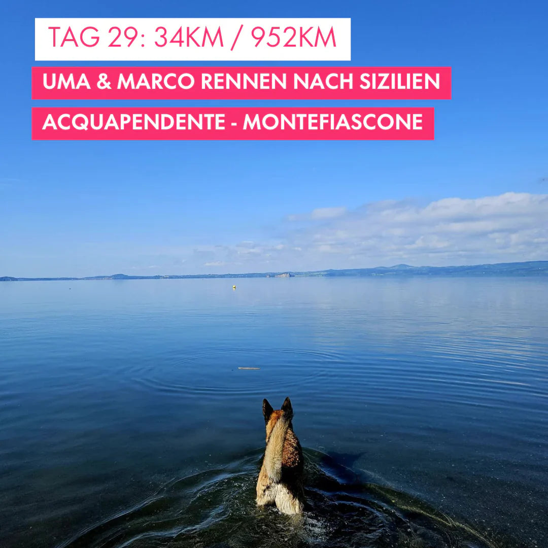 Tag 29: Amunì compà, Uma & Marco rennen nach Sizilien!: 34km von Acquapendente nach Montefiascone
