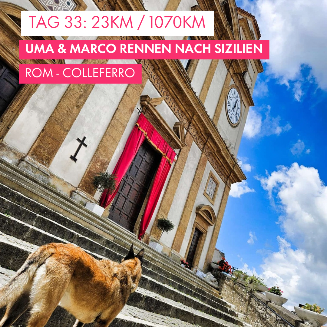 Tag 33: Amunì compà, Uma & Marco rennen nach Sizilien!: 23km von Rom nach Colleferro