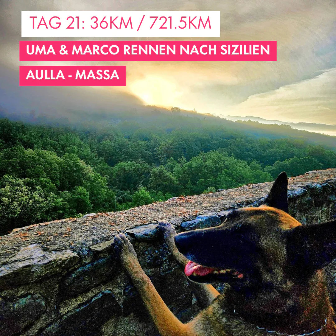 Tag 21: Amunì compà, Uma & Marco rennen nach Sizilien!: 36km von Aulla nach Massa