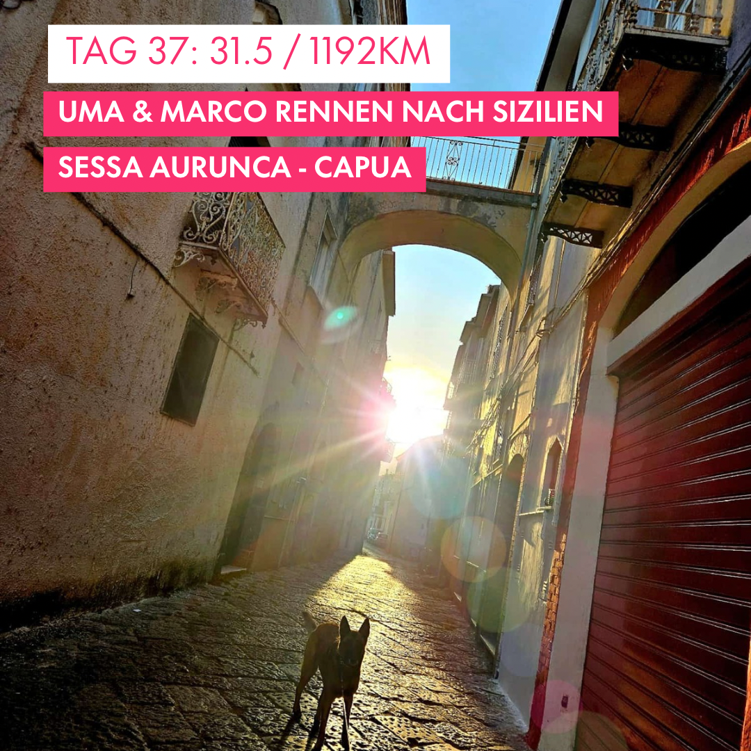 Tag 37: Amunì compà, Uma & Marco rennen nach Sizilien!: 31.5km von Sessa Aurunca nach Capua