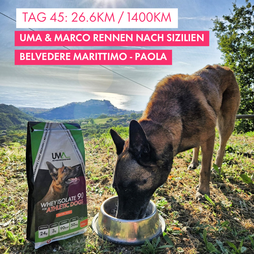 Tag 45: Amunì compà, Uma & Marco rennen nach Sizilien!: 26.6km von Belvedere Marittimo nach Paola