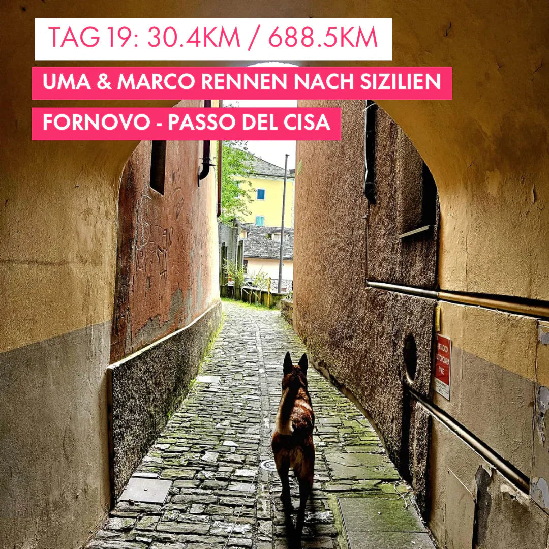 Tag 19: Amunì compà, Uma & Marco rennen nach Sizilien!: 30km von Fornovo auf den Passo del Cisa