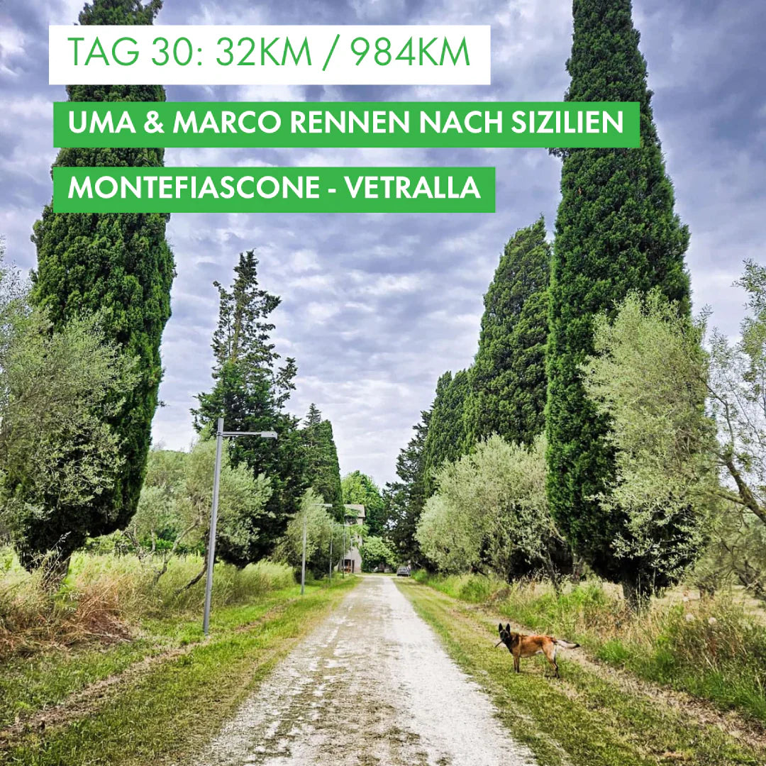 Tag 30: Amunì compà, Uma & Marco rennen nach Sizilien!: 32km von Montefiascone nach Vetralla