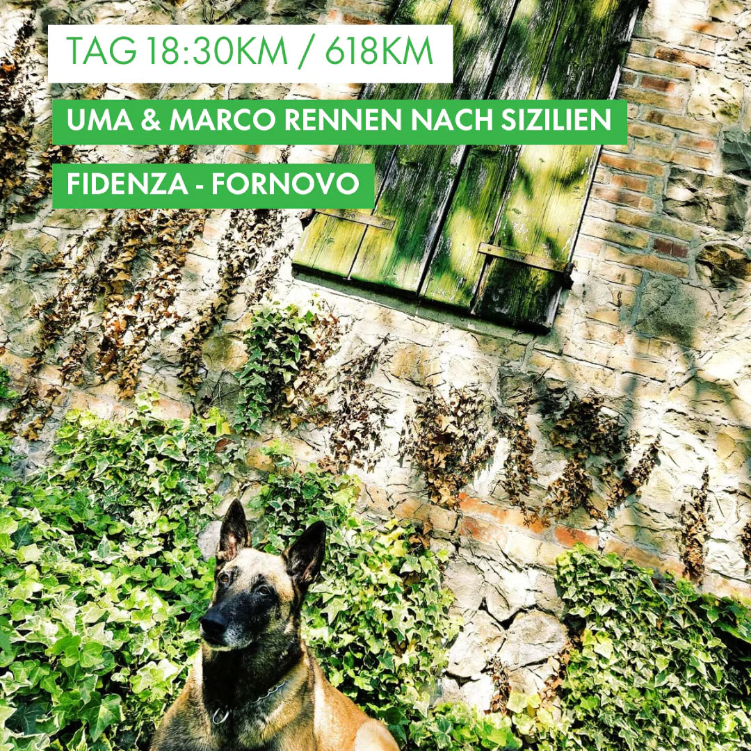 Tag 18: Amunì compà, Uma & Marco rennen nach Sizilien!: 30km von Fidenza nach Fornovo
