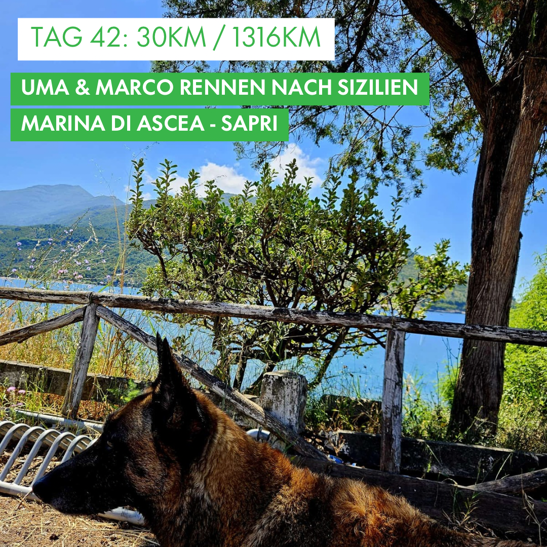 Tag 42: Amunì compà, Uma & Marco rennen nach Sizilien!: 30km von Marina di Ascea nach Sapri