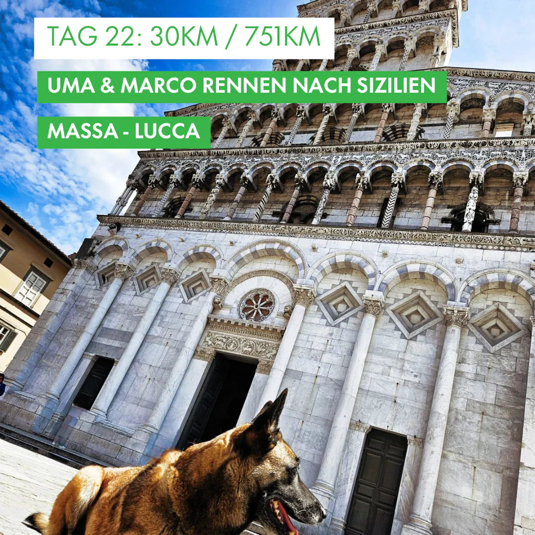 Tag 22: Amunì compà, Uma & Marco rennen nach Sizilien!: 30km von Massa nach Lucca