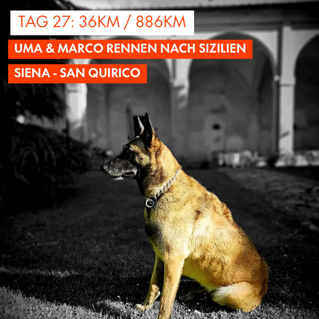 Tag 27: Amunì compà, Uma & Marco rennen nach Sizilien!: 36km von Siena nach San Quirico