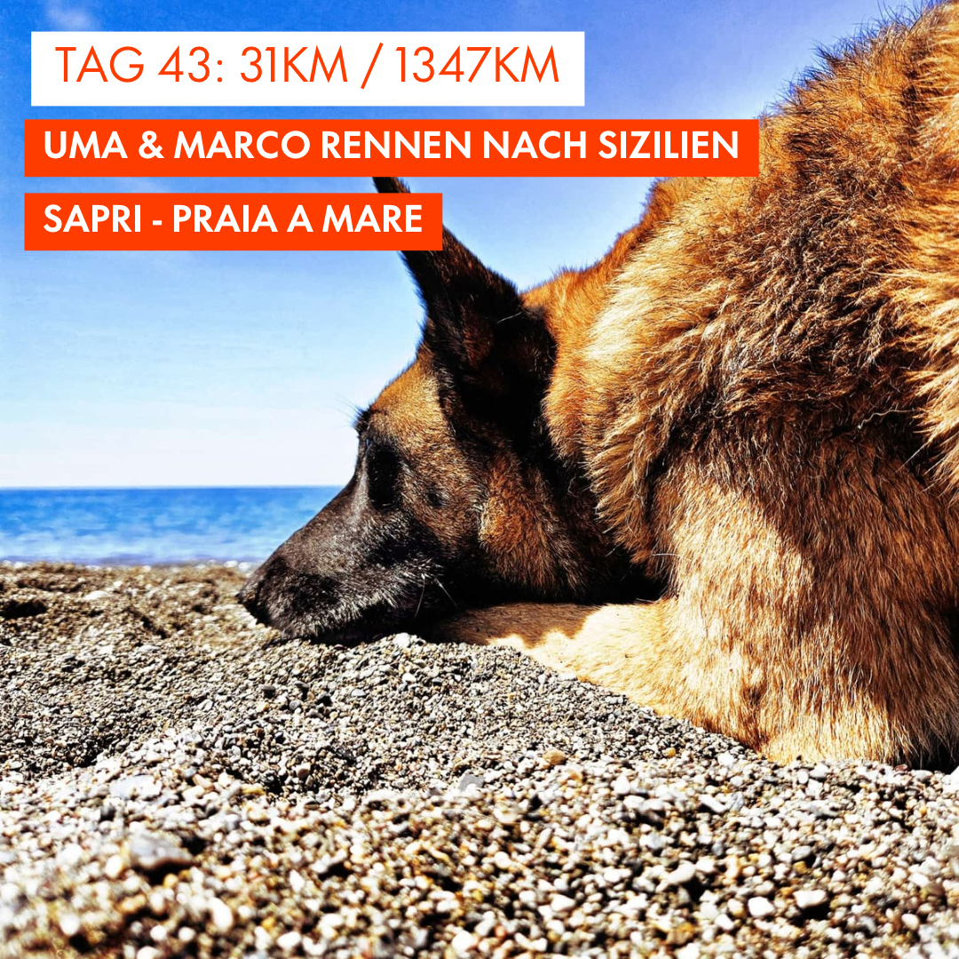 Tag 43: Amunì compà, Uma & Marco rennen nach Sizilien!: 31km von Sapri nach Praia a Mare