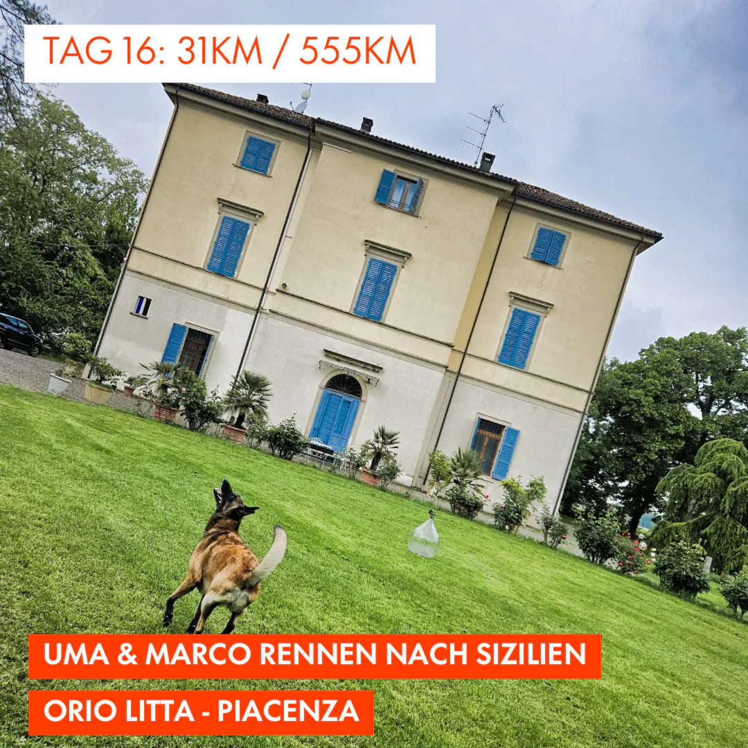 Tag 16: Amunì compà, Uma & Marco rennen nach Sizilien!: 31km von Orio Litta nach Piacenza