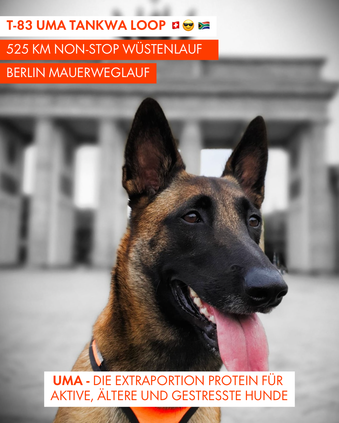 T-83 UMA Tankwa Loop 🇨🇭 😎 🇿🇦