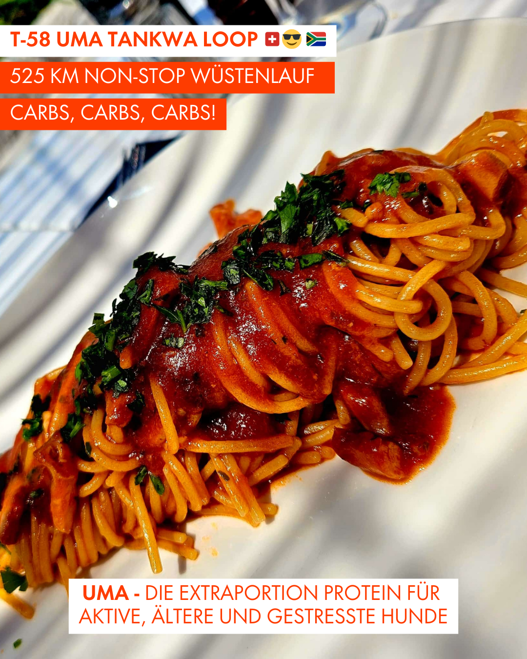 T-58 UMA Tankwa Loop 🇨🇭 😎 🇿🇦