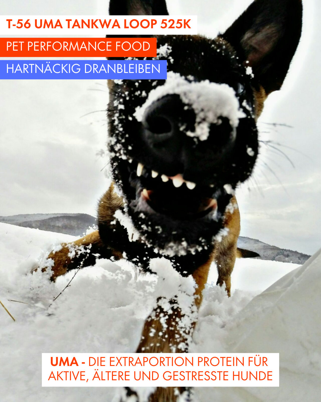 T-56 UMA Tankwa Loop 🇨🇭 😎 🇿🇦