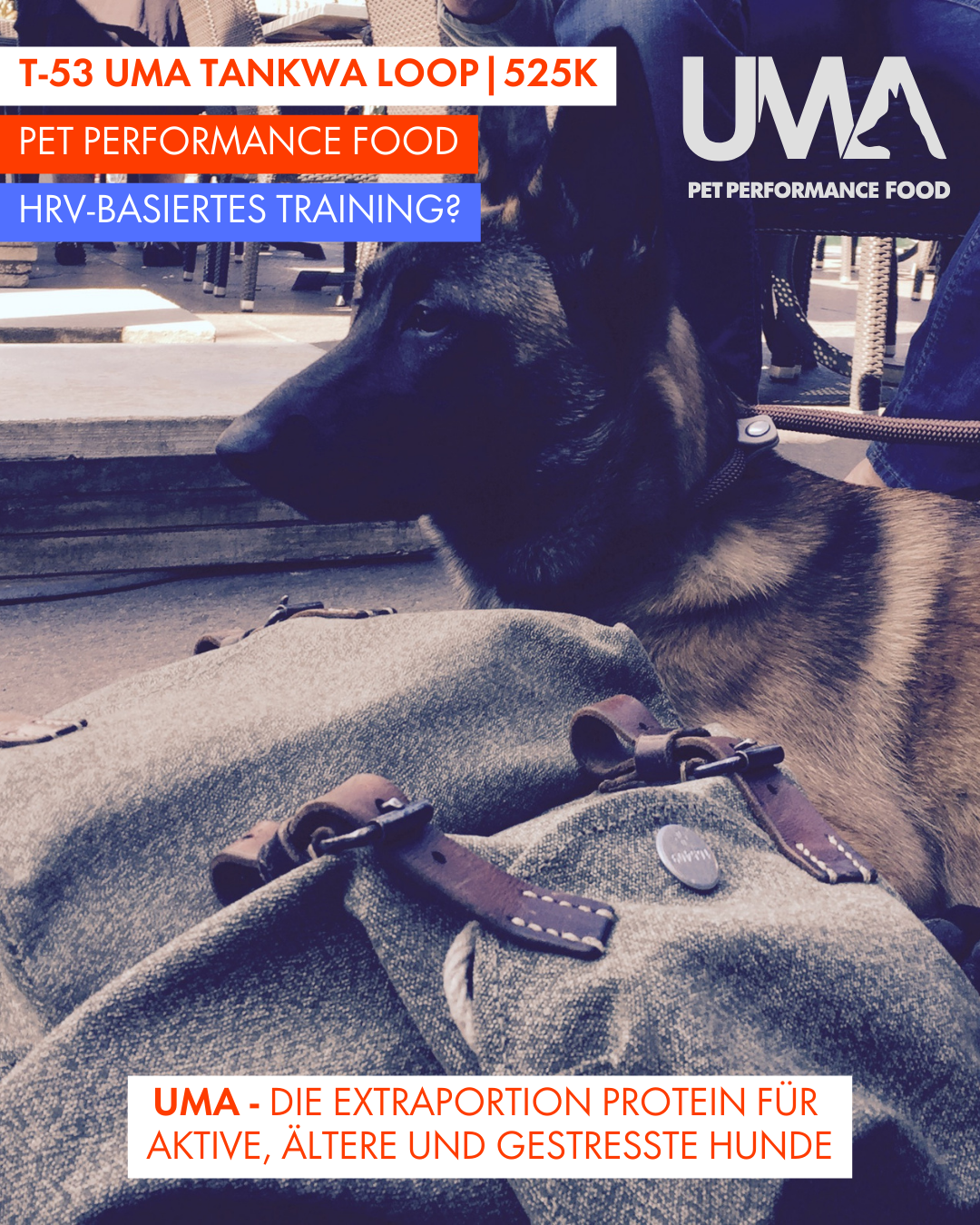 T-53 UMA Tankwa Loop 🇨🇭 😎 🇿🇦