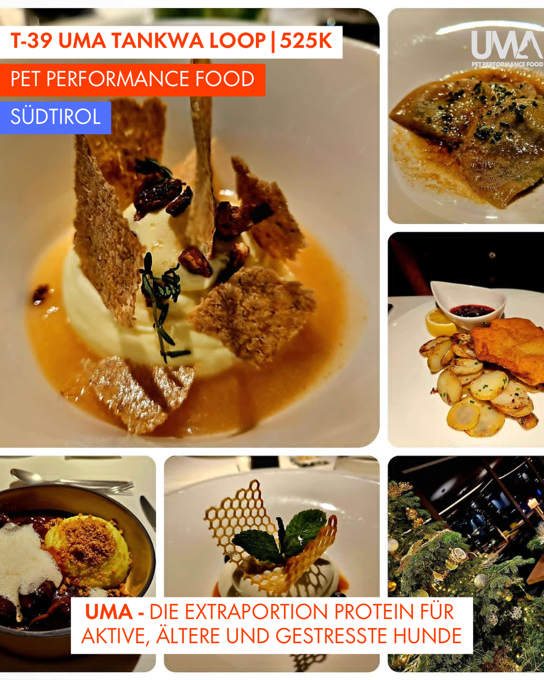 T-39 UMA Tankwa Loop 🇨🇭 😎 🇿🇦