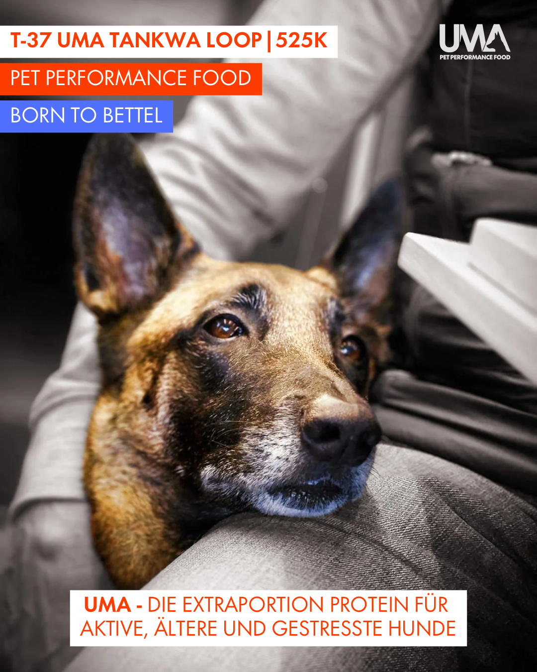 T-37 UMA Tankwa Loop 🇨🇭 😎 🇿🇦