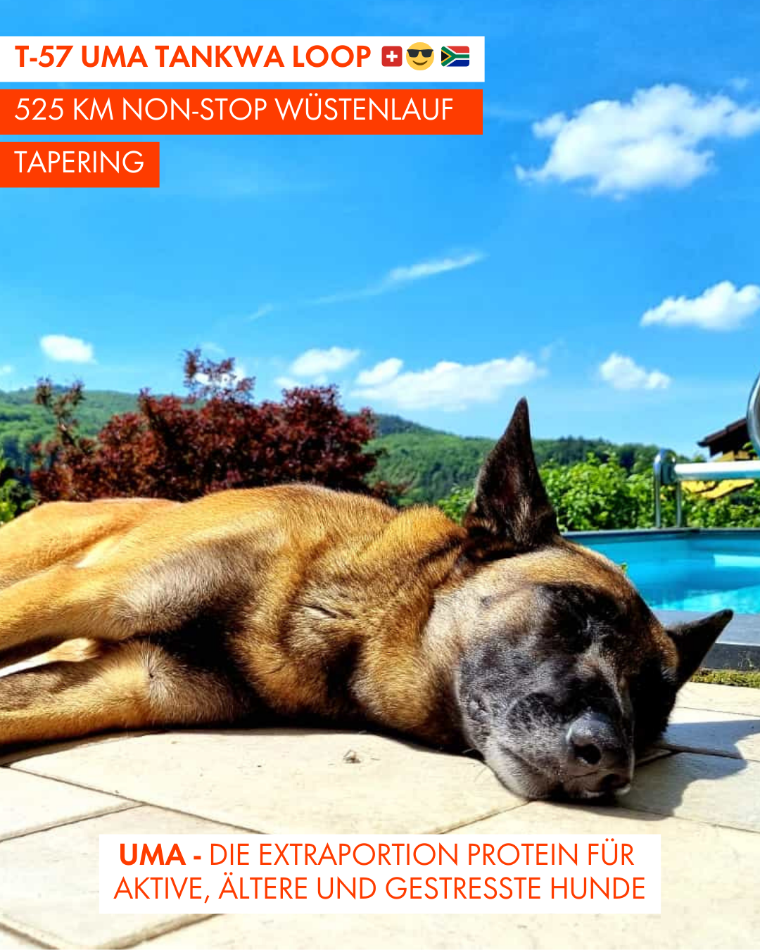 T-57 UMA Tankwa Loop 🇨🇭 😎 🇿🇦