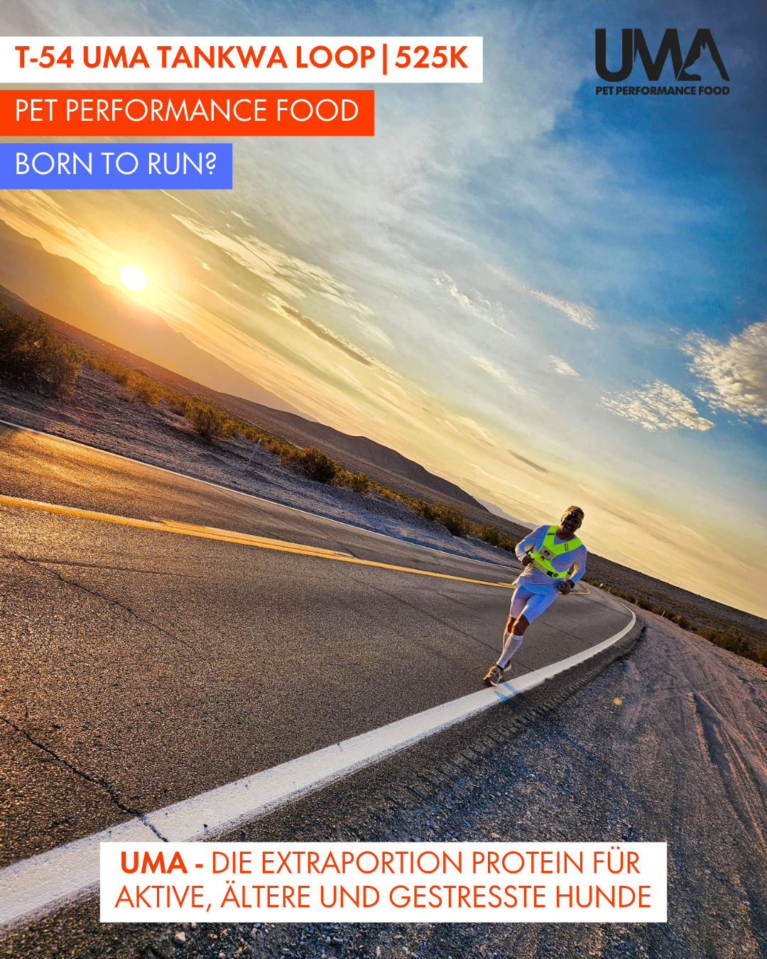 T-54 UMA Tankwa Loop 🇨🇭 😎 🇿🇦