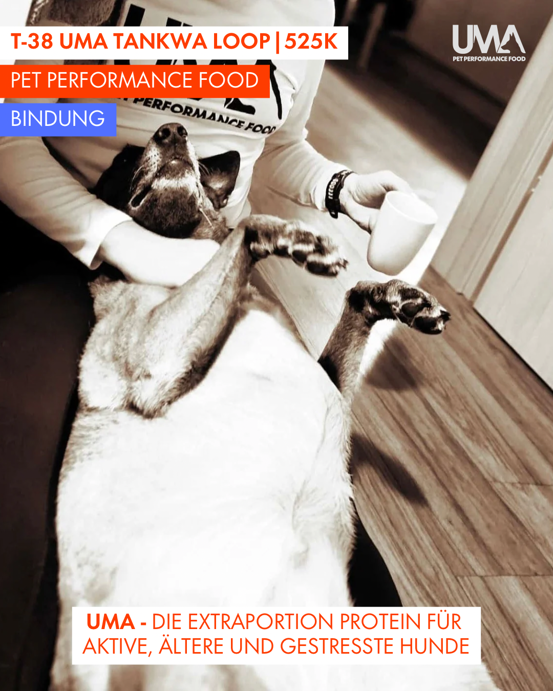 T-38 UMA Tankwa Loop 🇨🇭 😎 🇿🇦