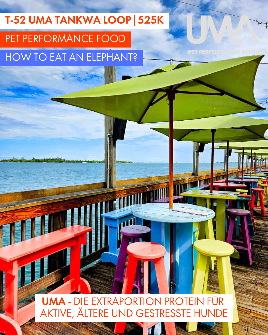 T-52 UMA Tankwa Loop 🇨🇭 😎 🇿🇦