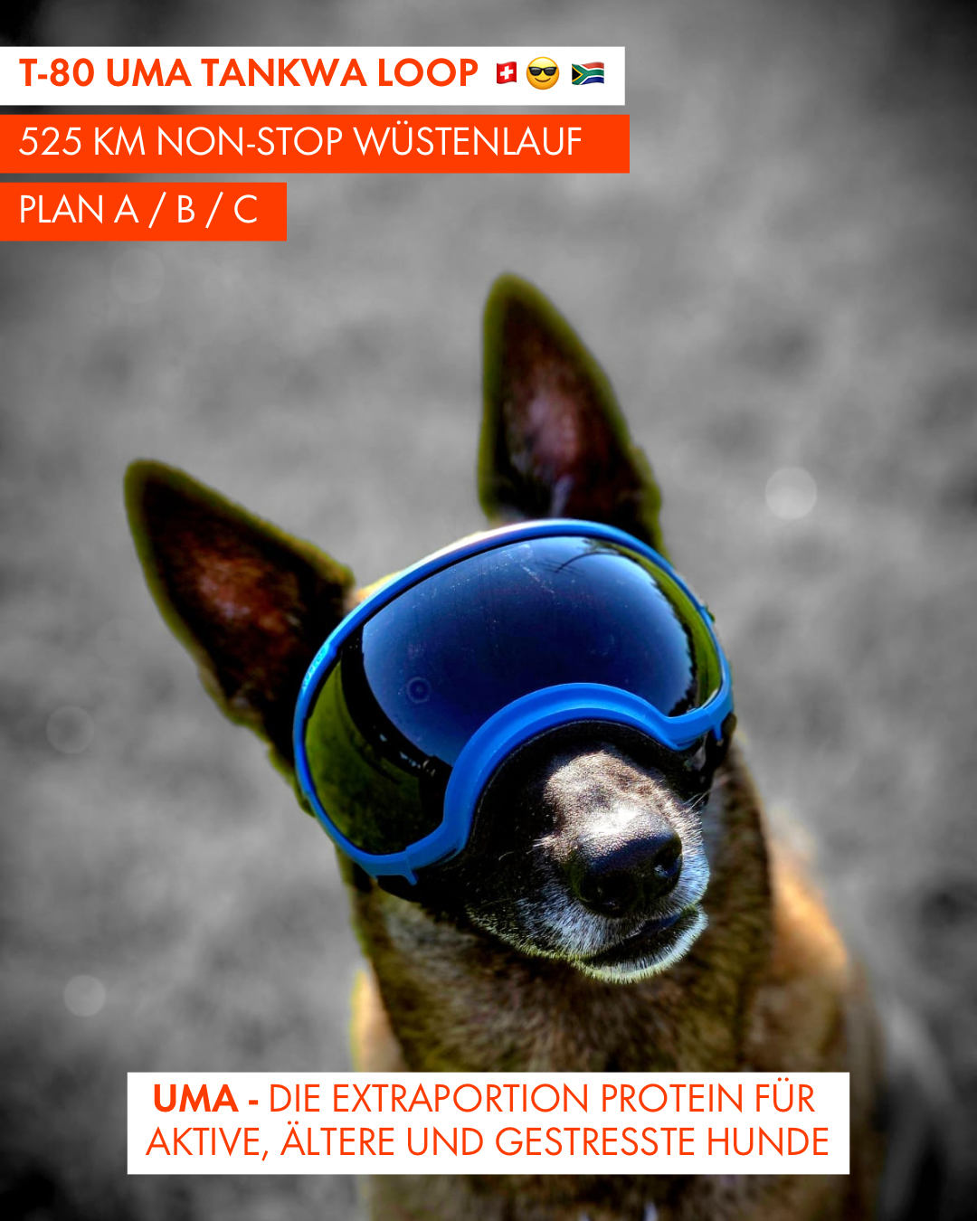 T-80 UMA Tankwa Loop 🇨🇭 😎 🇿🇦