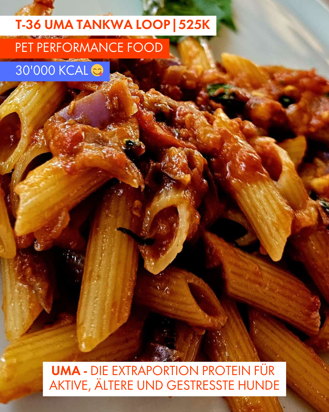 T-36 UMA Tankwa Loop 🇨🇭 😎 🇿🇦