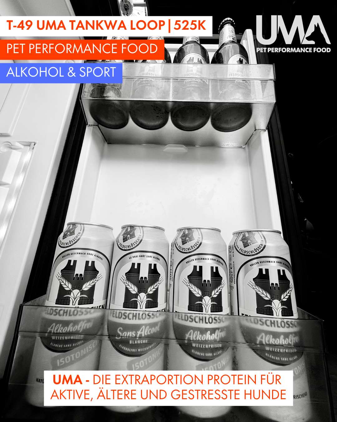 T-49 UMA Tankwa Loop 🇨🇭 😎 🇿🇦