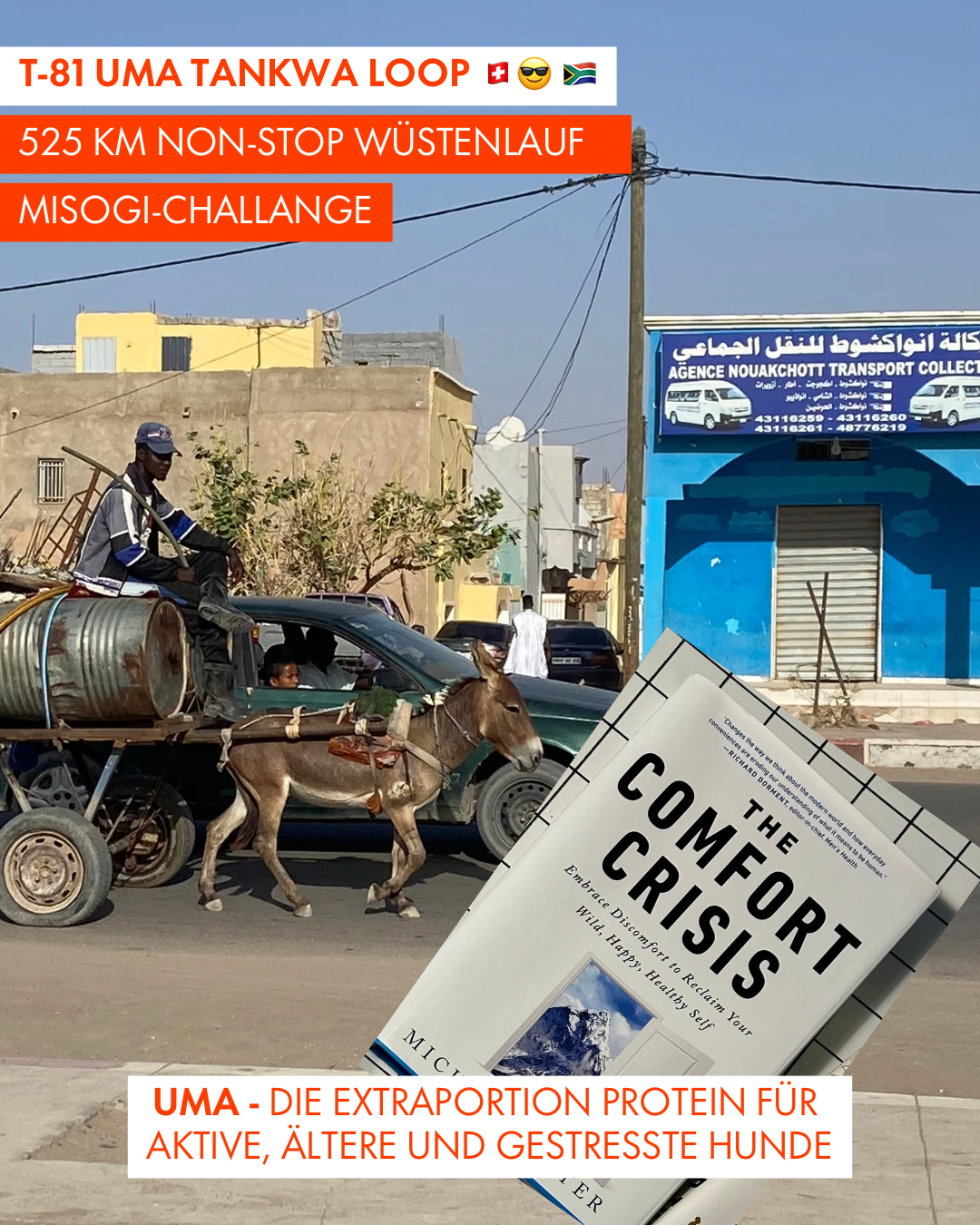 T-81 UMA Tankwa Loop 🇨🇭 😎 🇿🇦