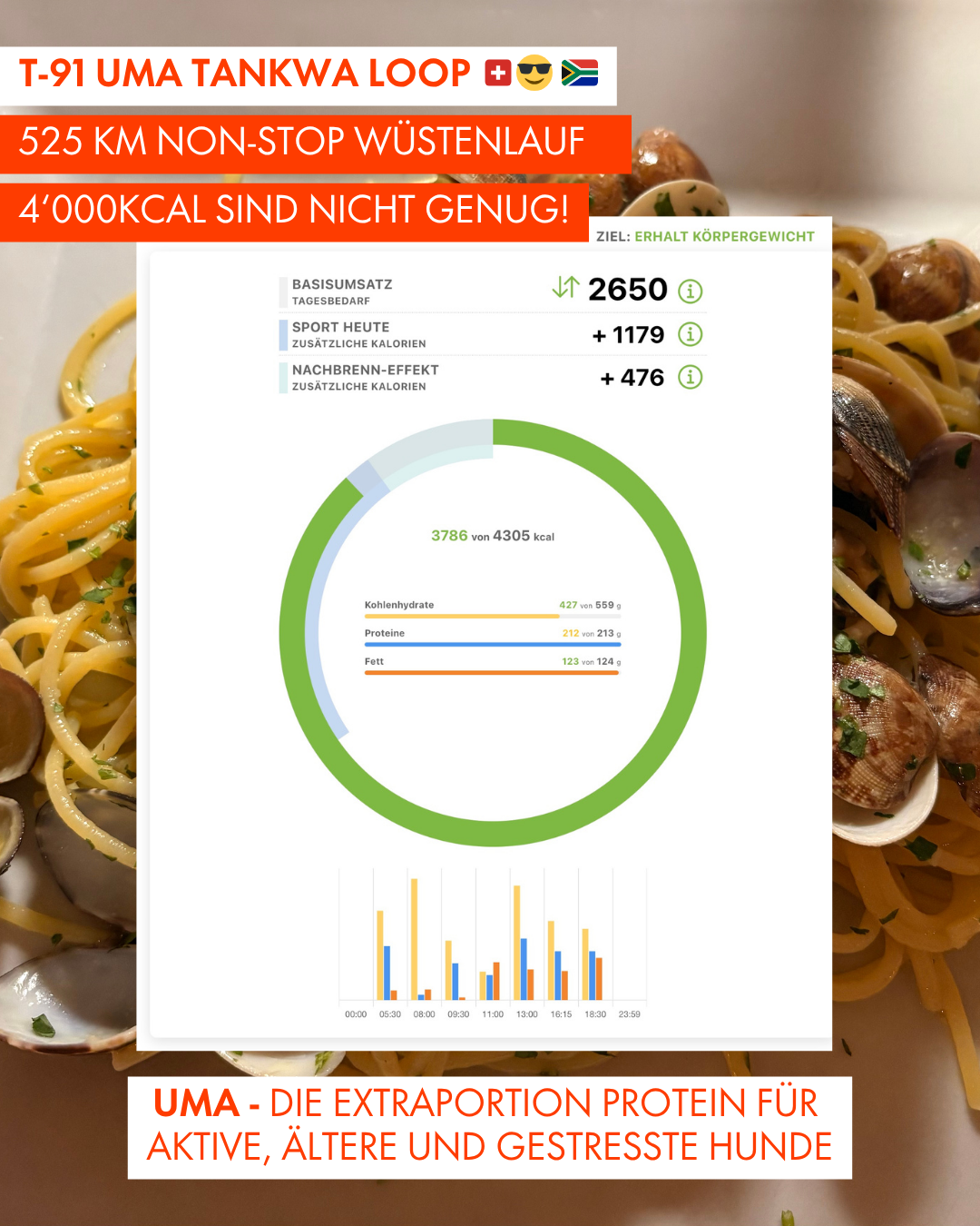 T-91 UMA Tankwa Loop 🇨🇭 😎 🇿🇦
