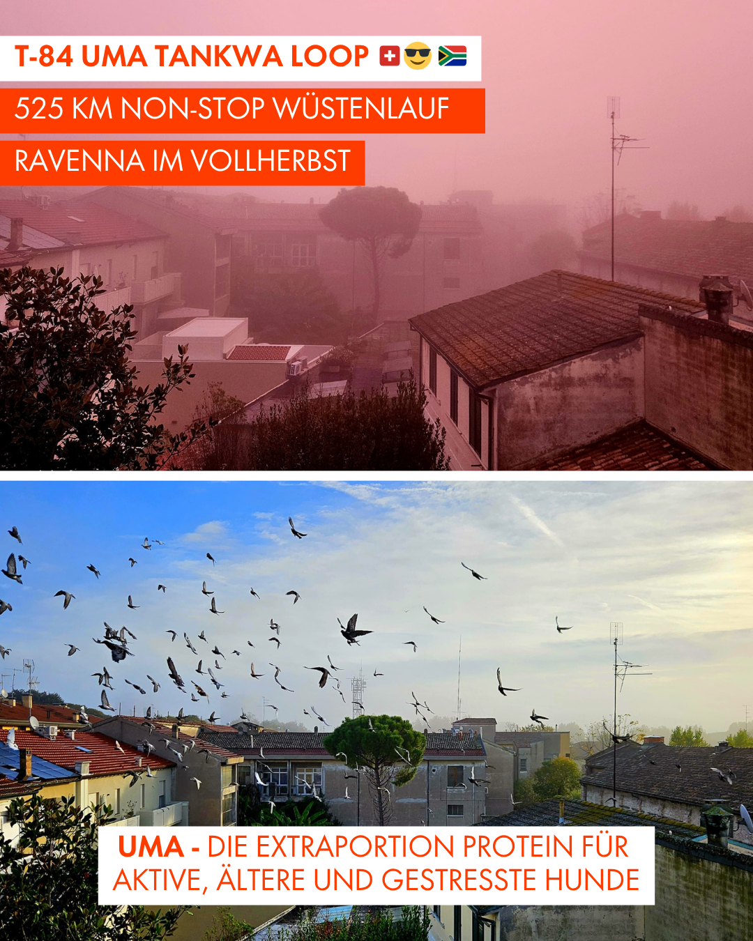 T-84 UMA Tankwa Loop 🇨🇭 😎 🇿🇦