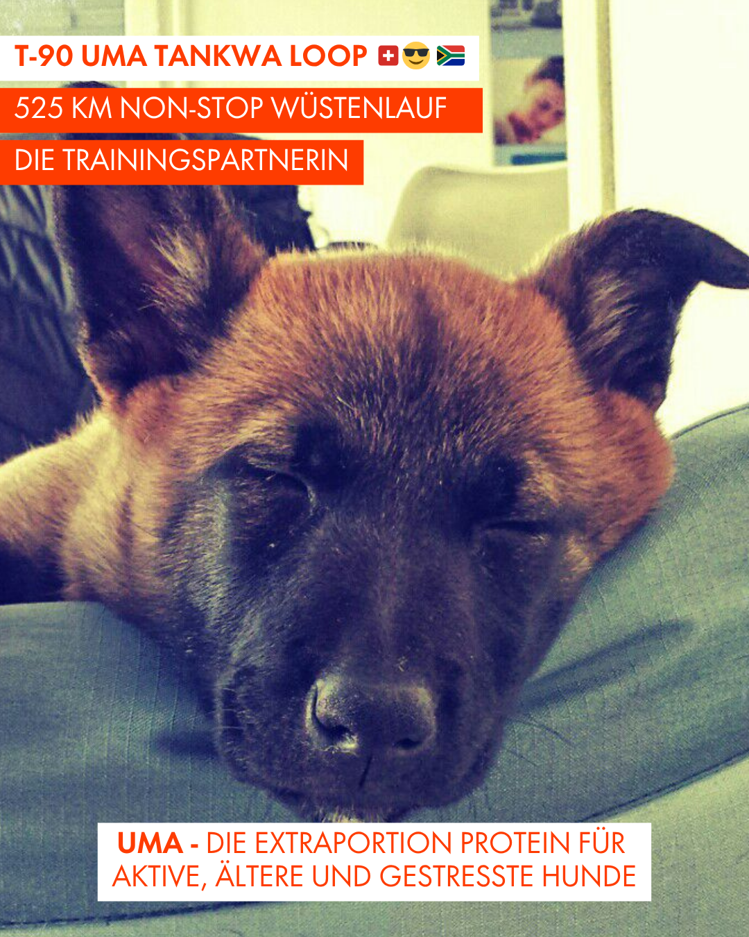 T-90 UMA Tankwa Loop 🇨🇭 😎 🇿🇦