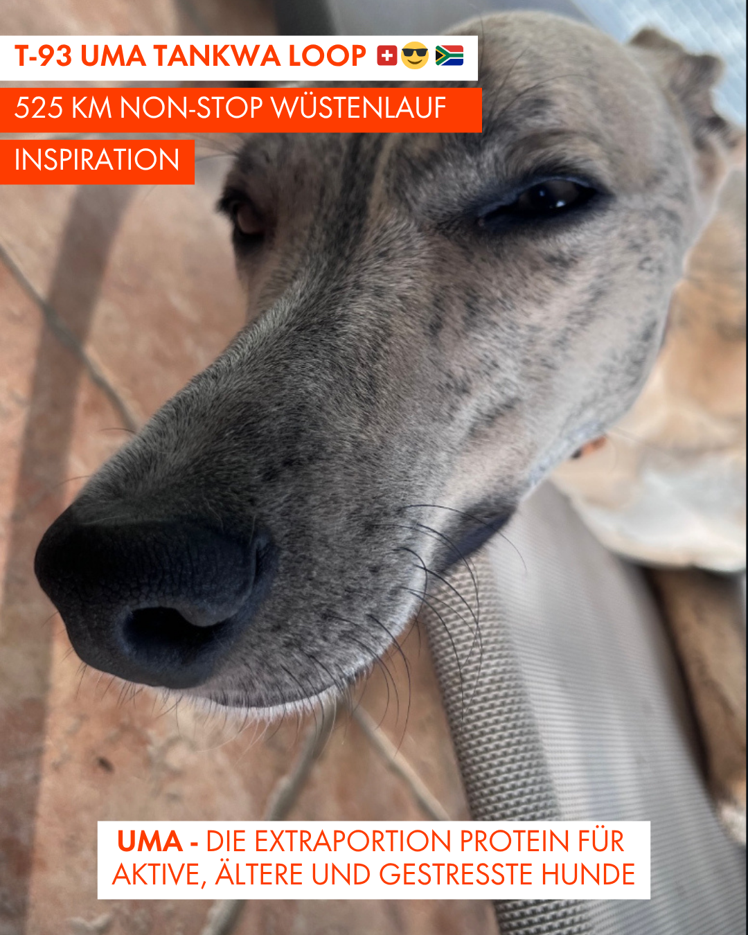 T-93 UMA Tankwa Loop 🇨🇭 😎 🇿🇦