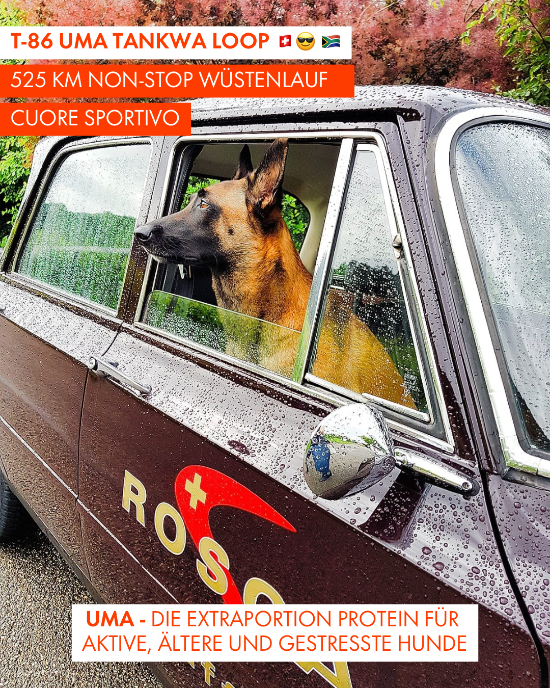 T-86 UMA Tankwa Loop 🇨🇭 😎 🇿🇦