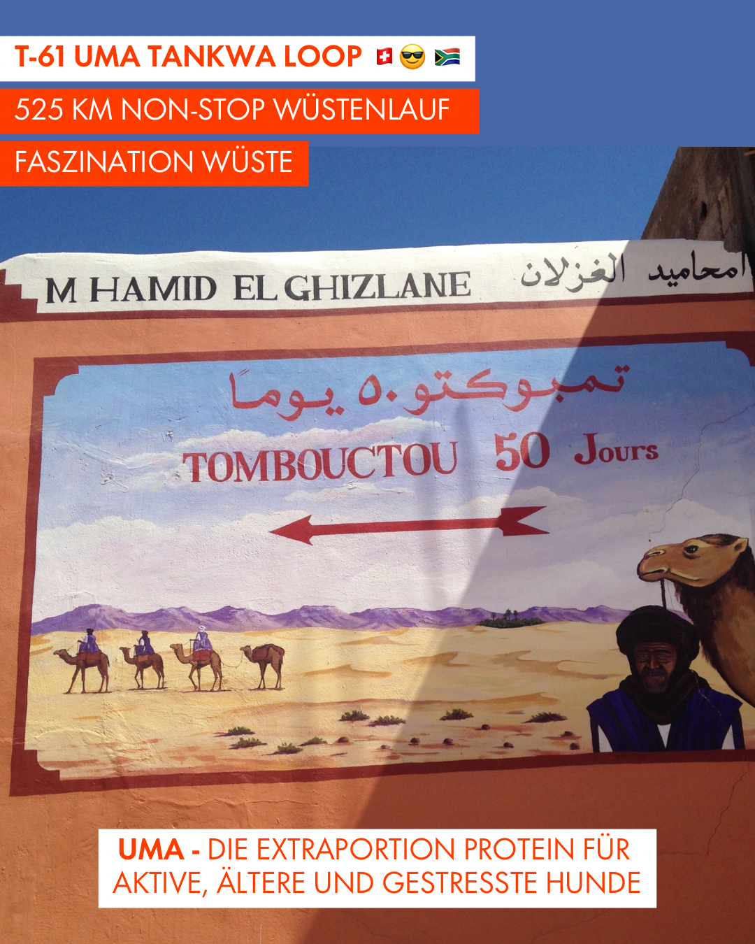 T-61 UMA Tankwa Loop 🇨🇭 😎 🇿🇦