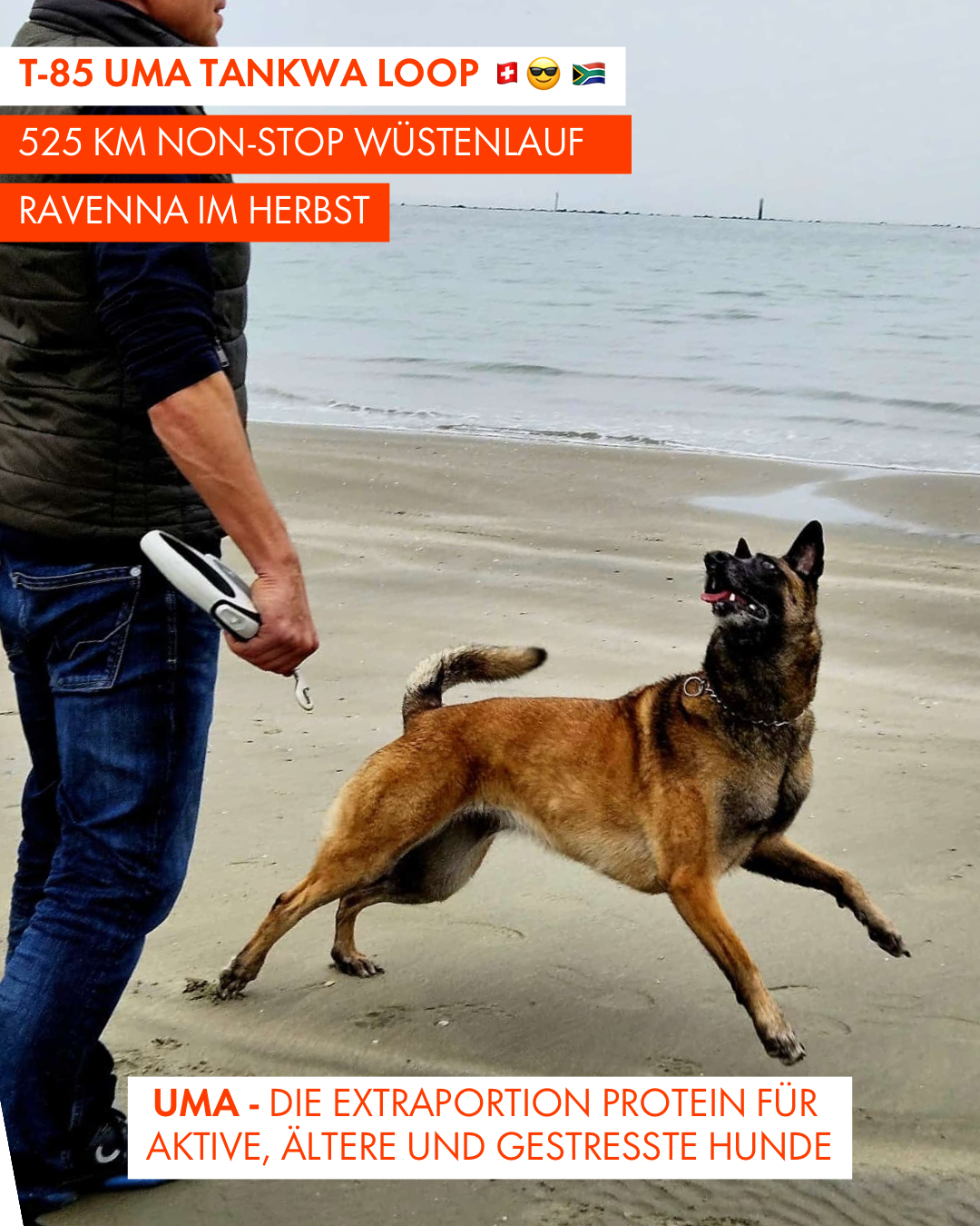 T-85 UMA Tankwa Loop 🇨🇭 😎 🇿🇦