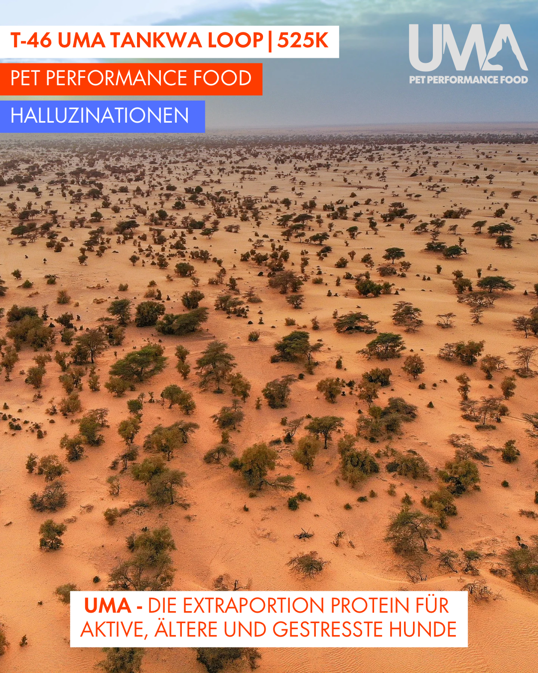 T-46 UMA Tankwa Loop 🇨🇭 😎 🇿🇦