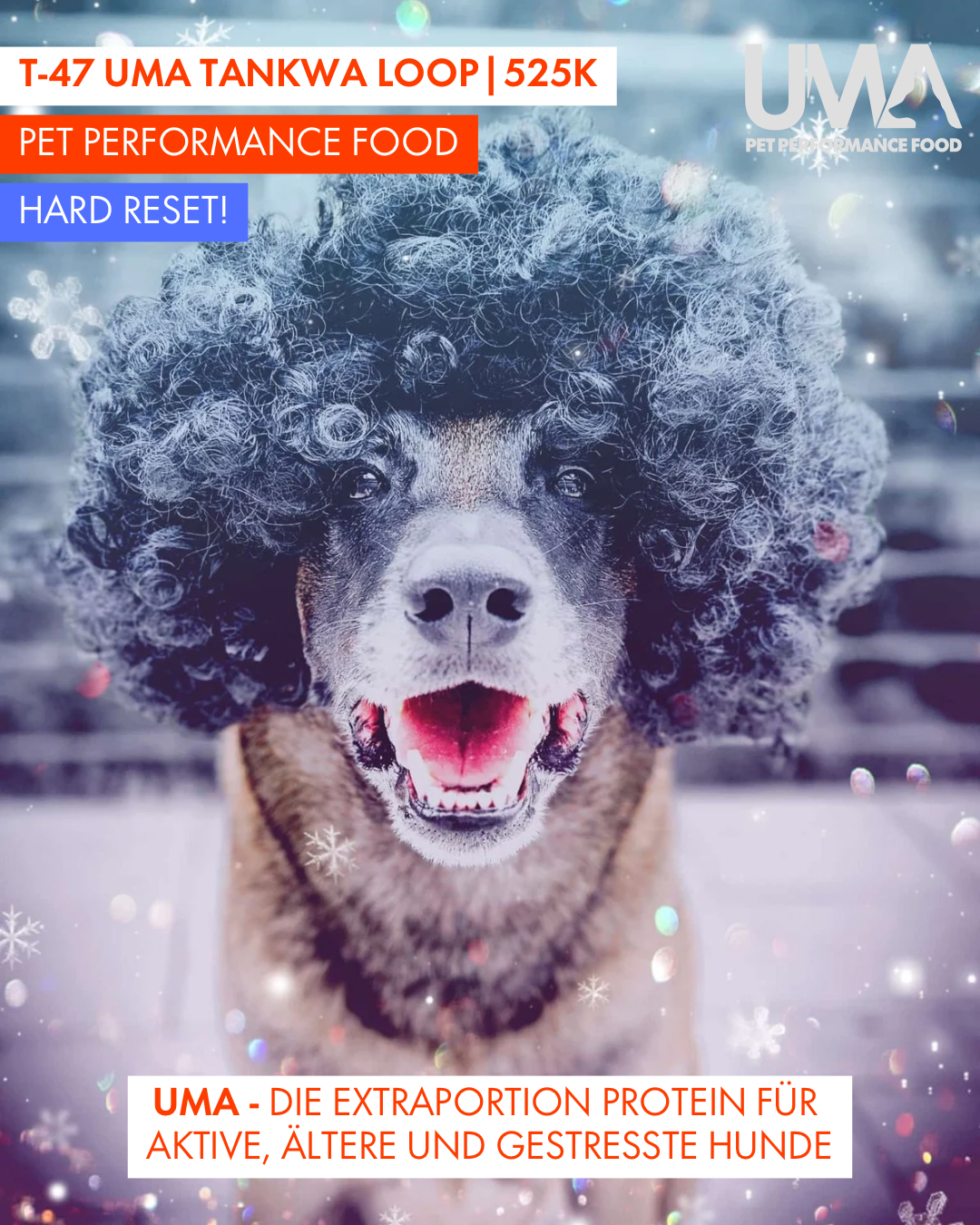 T-47 UMA Tankwa Loop 🇨🇭 😎 🇿🇦