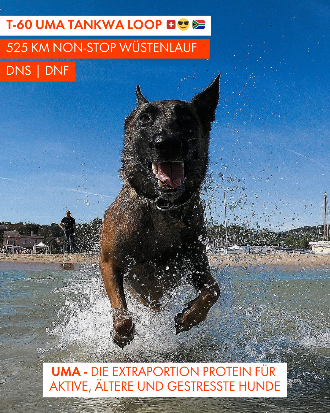 T-60 UMA Tankwa Loop 🇨🇭 😎 🇿🇦