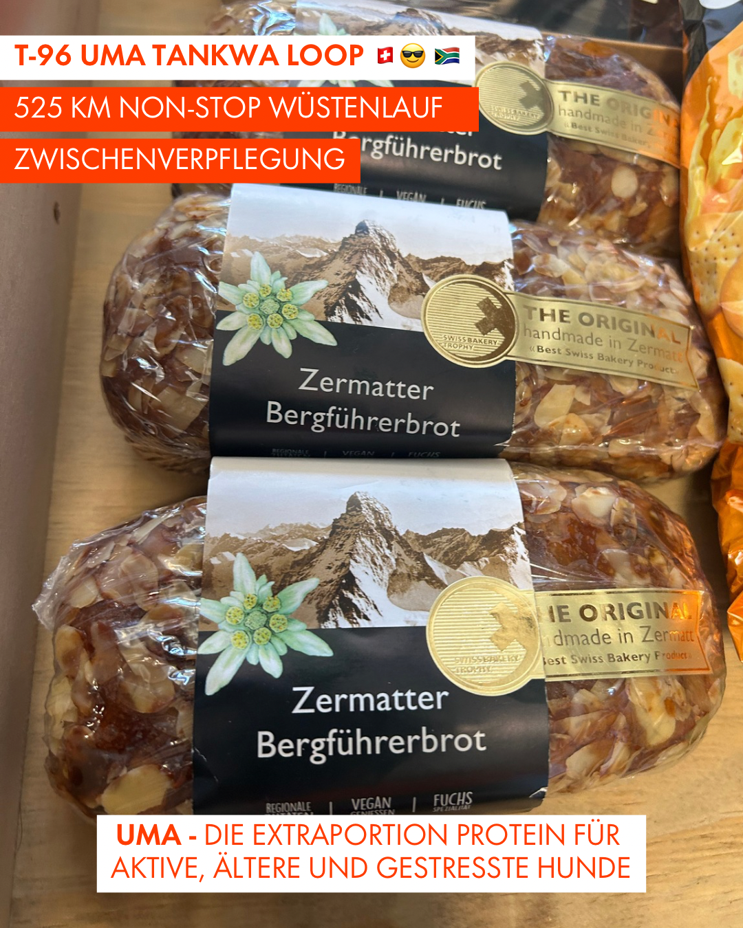 T-96 UMA Tankwa Loop 🇨🇭 😎 🇿🇦