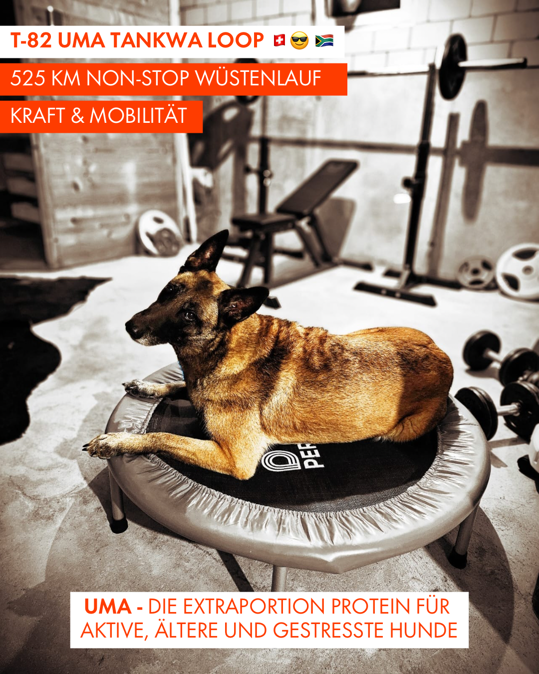 T-82 UMA Tankwa Loop 🇨🇭 😎 🇿🇦