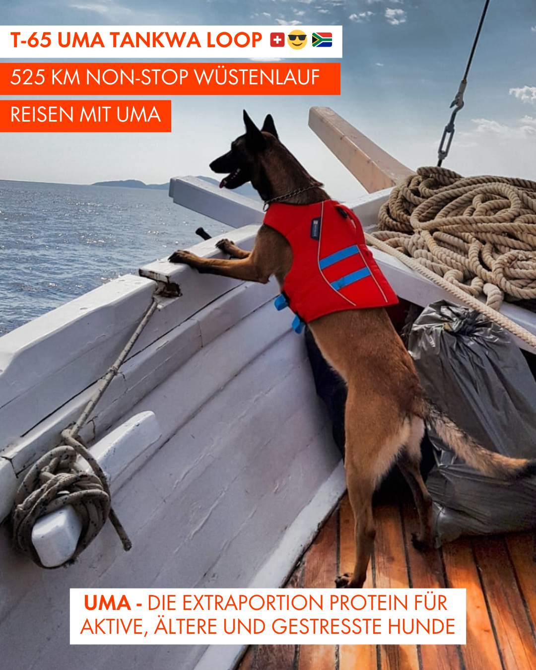 T-65 UMA Tankwa Loop 🇨🇭 😎 🇿🇦